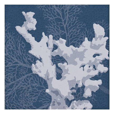 Framed Sea Coral 2 Print