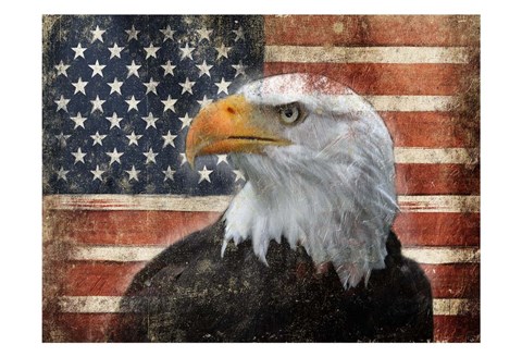 Framed Eagle and Flag Print
