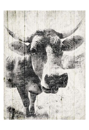 Framed Vintage Cow Mate Print