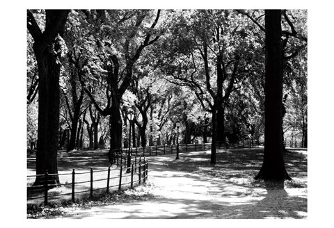 Framed Central Park Walk Print