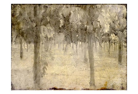 Framed Vineyard Print