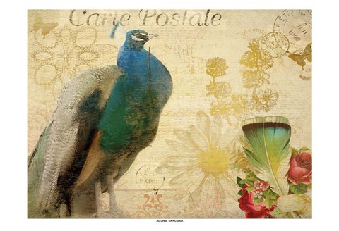 Framed Postcard Peacock Print