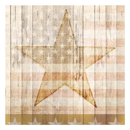 Framed American Stars Print