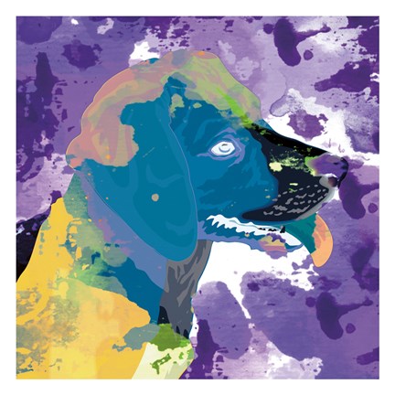 Framed Dog in Color 3 Print