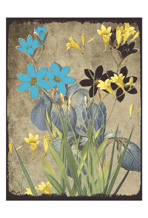 Framed Meadow Bloom Print