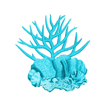 Framed Blue Coral 1 Print