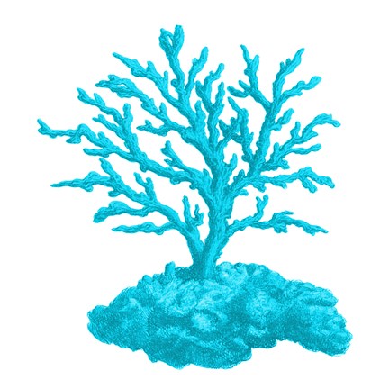 Framed Blue Coral 4 Print