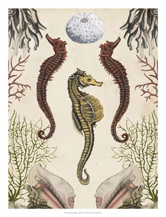 Framed Antiquarian Menagerie - Seahorse Print