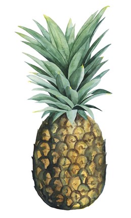 Framed Watercolor Pineapple II Print