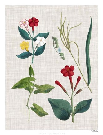 Framed Floral Assemblage III Print