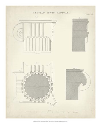 Framed Greek &amp; Roman Architecture VI Print