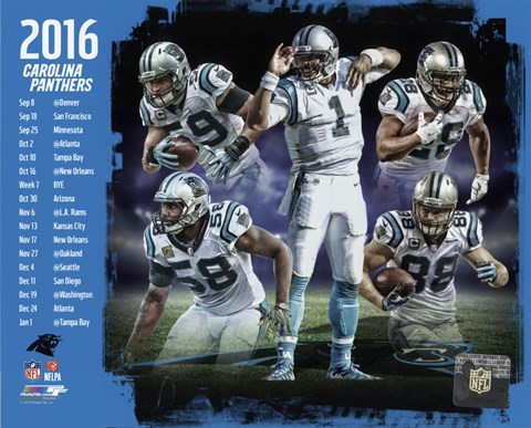 Framed Carolina Panthers 2016 Team Composite Print