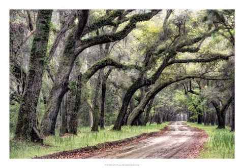 Framed Dirt Road II Print