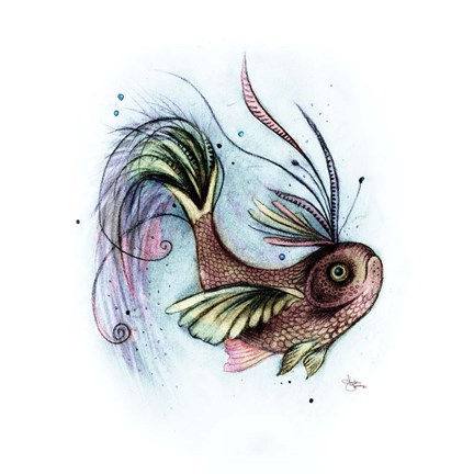 Framed Paradisfish Print