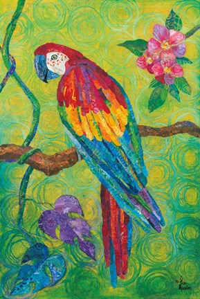 Framed Parrot Print