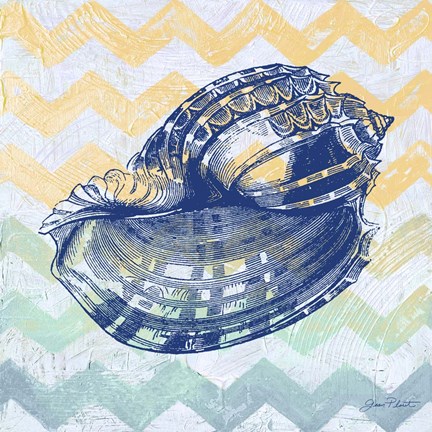 Framed Sea Creatures -Shell II Print