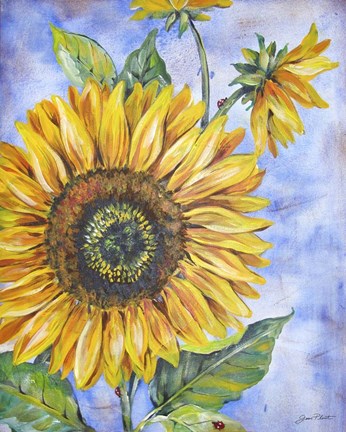 Framed Audreys Sunflower Print