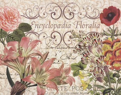 Framed Encyclopedia Floralia 2 Print