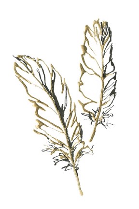 Framed Gilded Barn Owl Feather Print