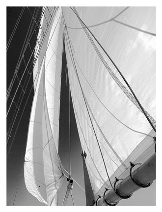 Framed Sailboat Sails Florida Print