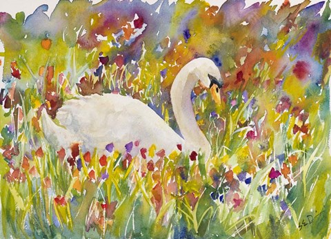 Framed Colorful Swan Print