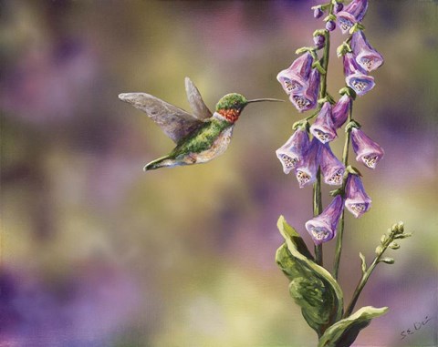Framed Spring Hummingbird Print