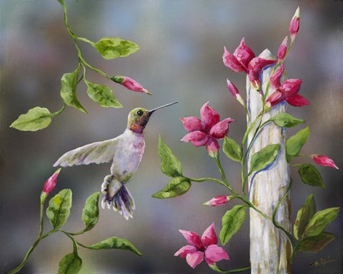 Framed Hummingbird with Flowers Print
