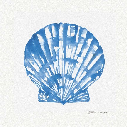 Framed Shell In Blue Print