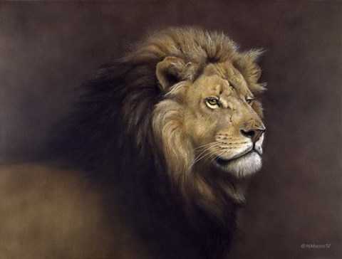 Framed Lion Male Print