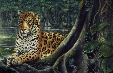 Framed Jaguar By The River Print