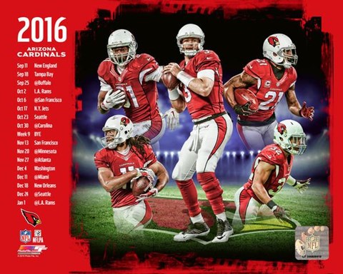 Framed Arizona Cardinals 2016 Team Composite Print