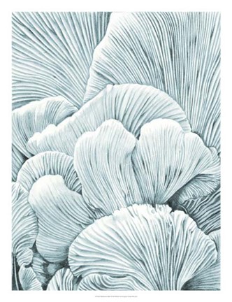 Framed Mushroom Gills I Print