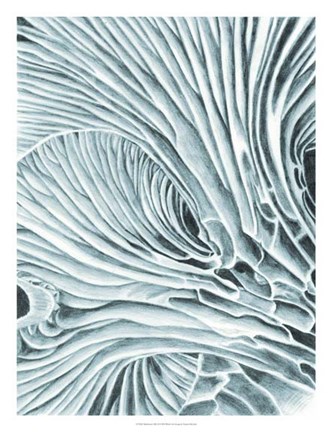 Framed Mushroom Gills II Print