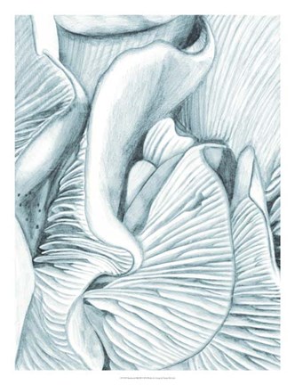 Framed Mushroom Gills III Print