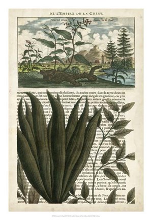 Framed Journal of the Tropics III Print