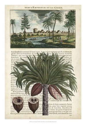 Framed Journal of the Tropics IV Print
