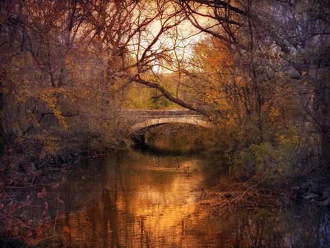 Framed Autumn Finale Print