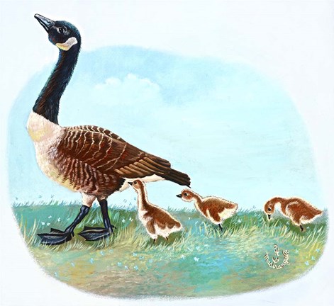 Framed Mother Goose Print