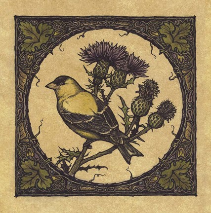 Framed Apple Grossbeak Bird Print
