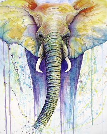 Framed Elephant Colors Print