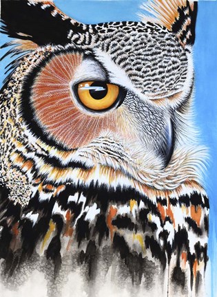 Framed Great Horned Owl Eye Print