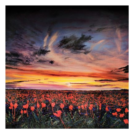 Framed Sunset lit Poppy Field Print