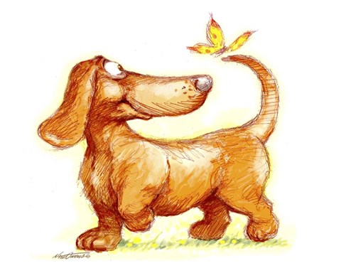 Framed Dachshund &amp; Butterfly Print