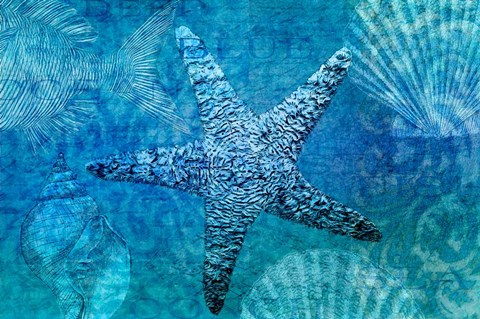Framed White Starfish Print
