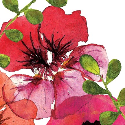 Framed Vibrant Floral III Print