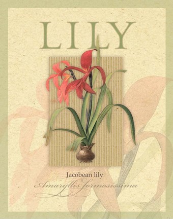 Framed Jacobean Lily Print