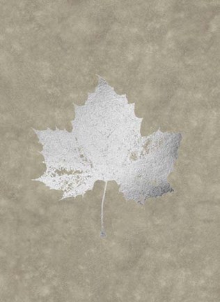 Framed Silver Foil Leaf II on Lichen Wash Print