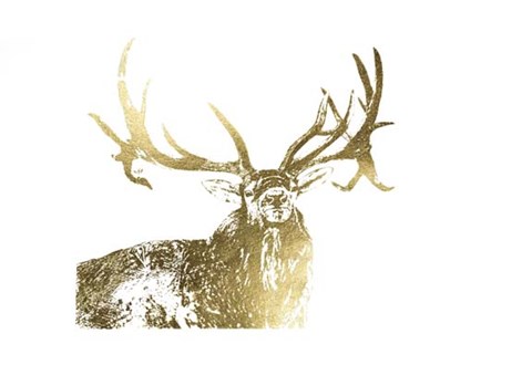 Framed Gold Foil Elk Print