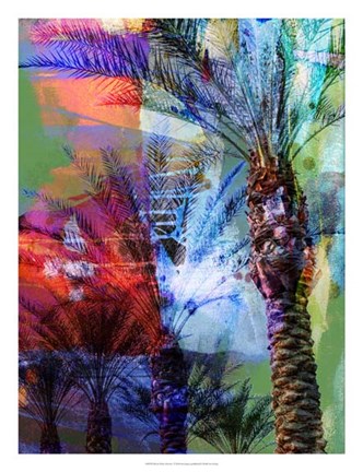 Framed Desert Palm Abstract Print