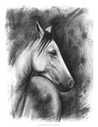 Framed Charcoal Equestrian Portrait I Print